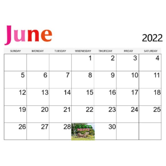 Co-Hosting Outdoor Adventure Party June 29, 2022 9 AM - Picture 2 of 4